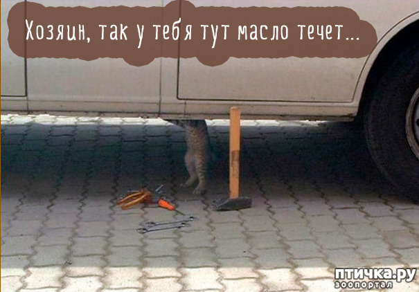 ���� 14: ����-�������. ������ ����������.