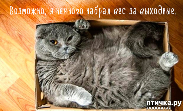 ���� 17: ����-�������. ������ ����������.