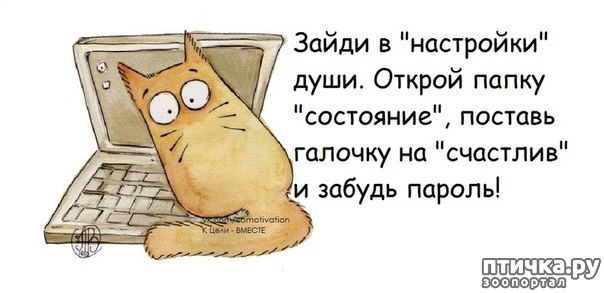 ���� 21: ����-�������. ������ ����������.