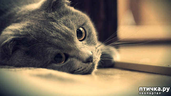 ���� 1: �������� ����� � ��������. ��� ������ � ���������