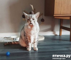 ����: ��� � ��������� ������-������� ����� ��� ������ � ������ ������