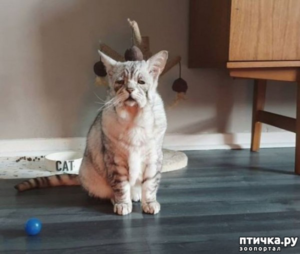 ���� 1: ��� � ��������� ������-������� ����� ��� ������ � ������ ������