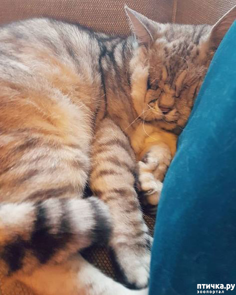 ���� 2: ��� � ��������� ������-������� ����� ��� ������ � ������ ������