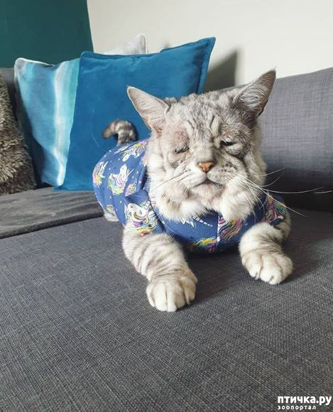 ���� 3: ��� � ��������� ������-������� ����� ��� ������ � ������ ������