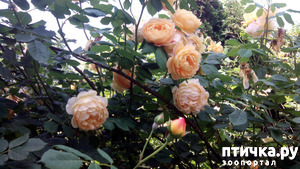 ����: ��������� ����, ���� �����!