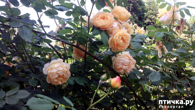 ���� 1: ��������� ����, ���� �����!