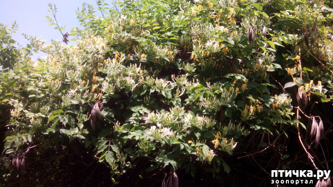 ���� 3: ��������� ����, ���� �����!