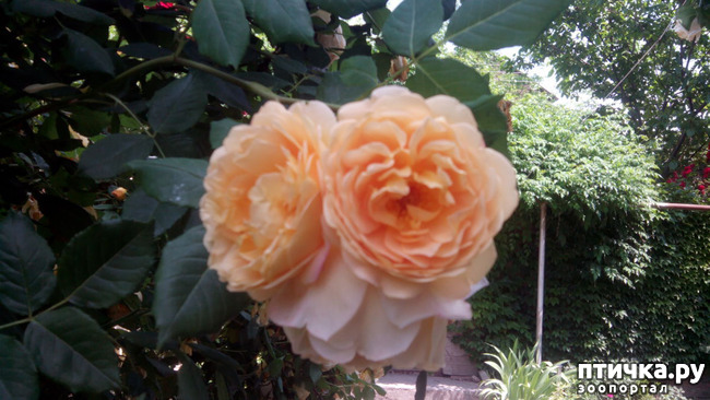 ���� 2: ��������� ����, ���� �����!