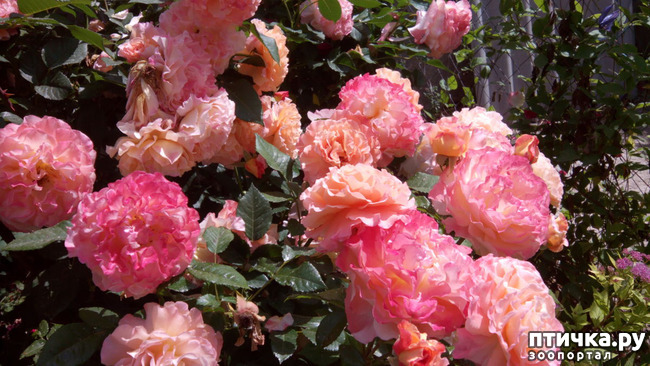 ���� 4: ��������� ����, ���� �����!