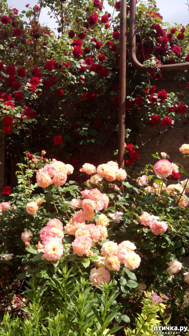 ���� 5: ��������� ����, ���� �����!