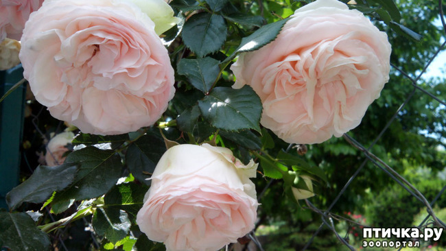 ���� 6: ��������� ����, ���� �����!