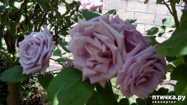 ���� 7: ��������� ����, ���� �����!