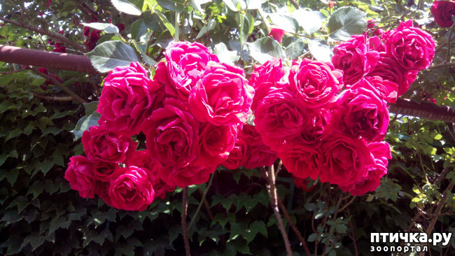 ���� 8: ��������� ����, ���� �����!