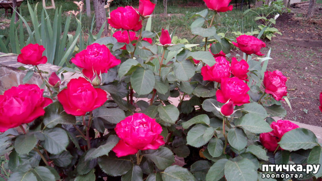 ���� 9: ��������� ����, ���� �����!