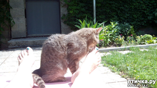 ���� 10: ��������� ����, ���� �����!