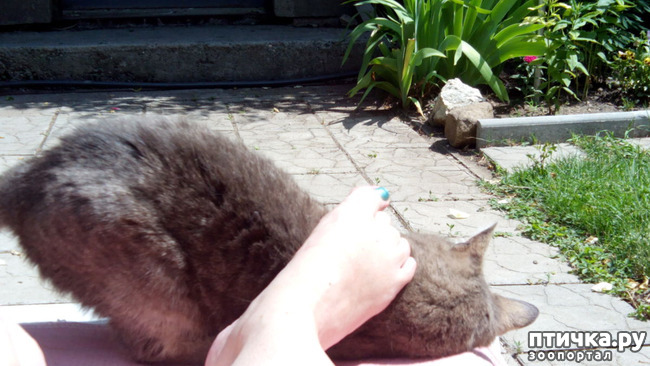 ���� 11: ��������� ����, ���� �����!