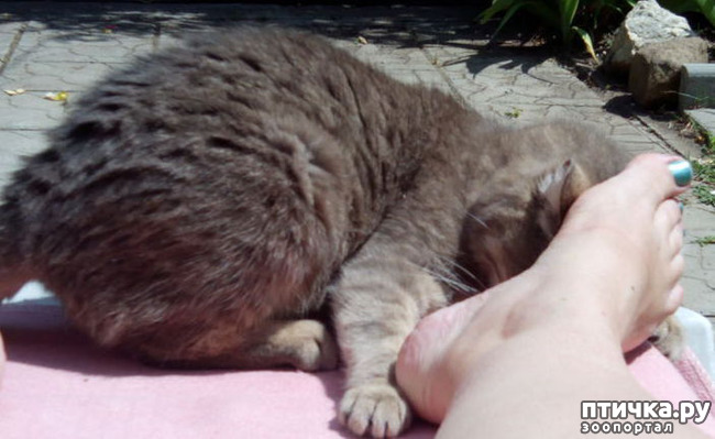 ���� 12: ��������� ����, ���� �����!