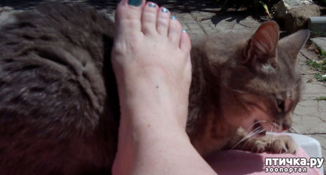 ���� 13: ��������� ����, ���� �����!