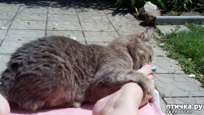 ���� 14: ��������� ����, ���� �����!