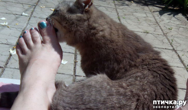 ���� 15: ��������� ����, ���� �����!