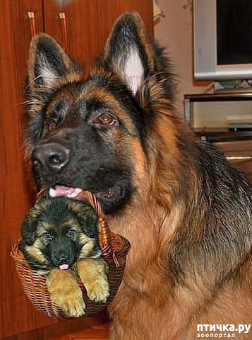 ���� 1: ����� ����