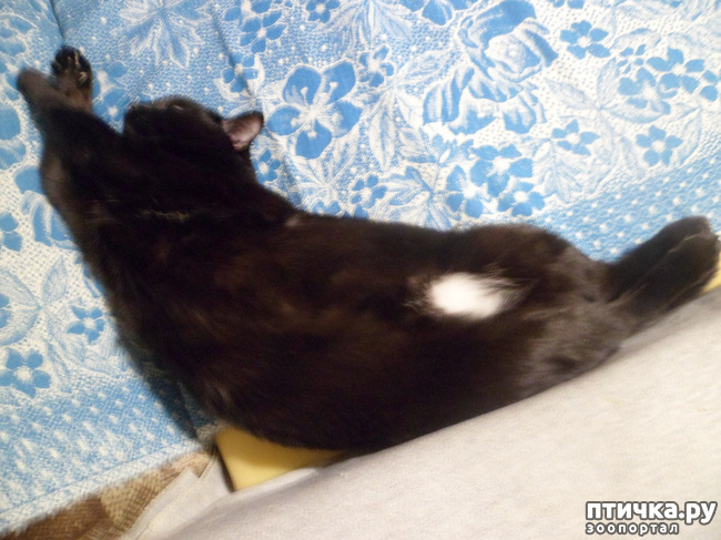 ���� 3: ���� ��������? � � ��� ������ �� �����! ) � ����� ��� �������)