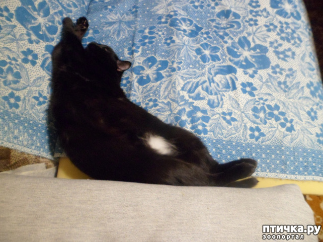 ���� 4: ���� ��������? � � ��� ������ �� �����! ) � ����� ��� �������)