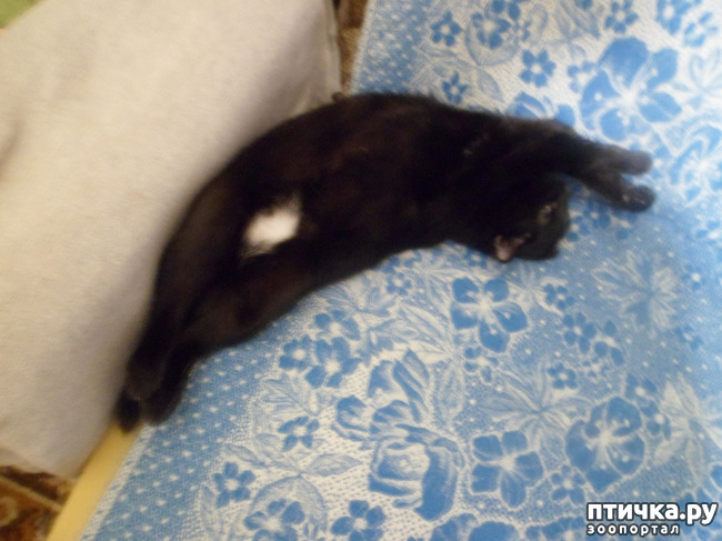 ���� 5: ���� ��������? � � ��� ������ �� �����! ) � ����� ��� �������)