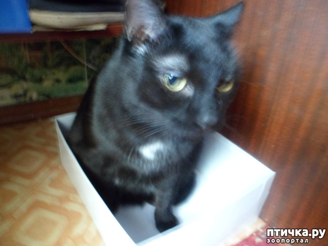 ���� 6: ���� ��������? � � ��� ������ �� �����! ) � ����� ��� �������)