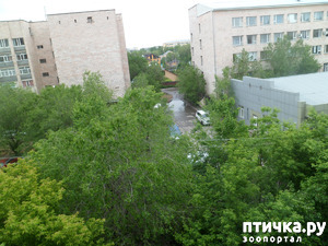 ����: ���� ��������? � � ��� ������ �� �����! ) � ����� ��� �������)