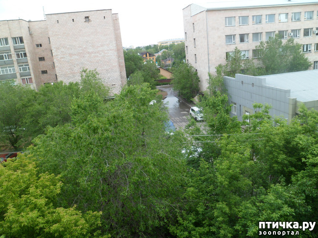 ���� 1: ���� ��������? � � ��� ������ �� �����! ) � ����� ��� �������)