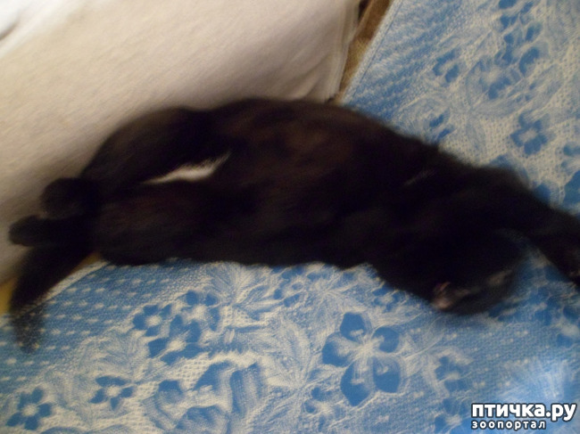 ���� 2: ���� ��������? � � ��� ������ �� �����! ) � ����� ��� �������)