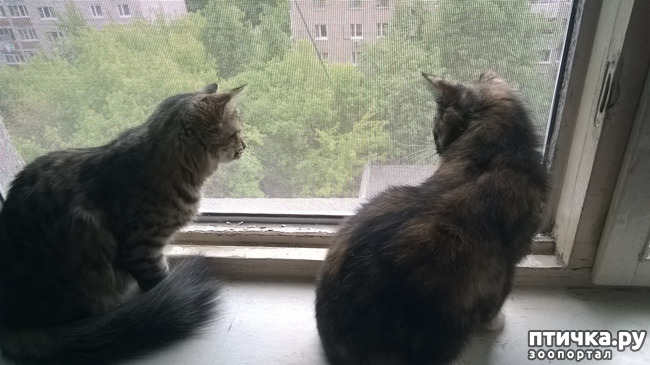 ���� 1: �������, ��������� � �! ��� ���� � ��� ��������!!!