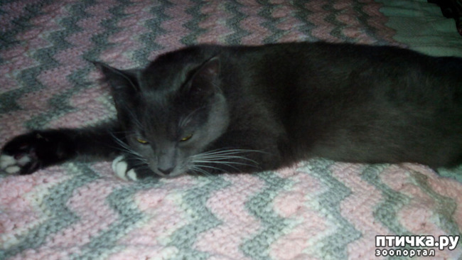  7:   