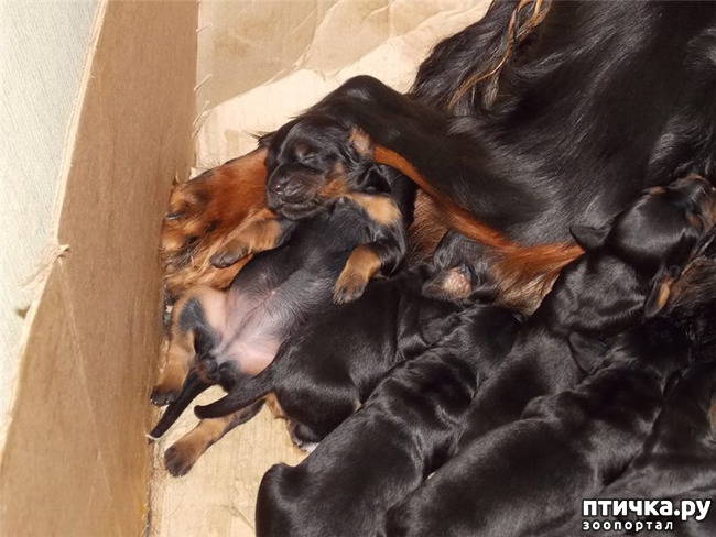 ���� 2: ������-������. ��������� �������