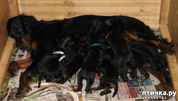 ���� 3: ������-������. ��������� �������