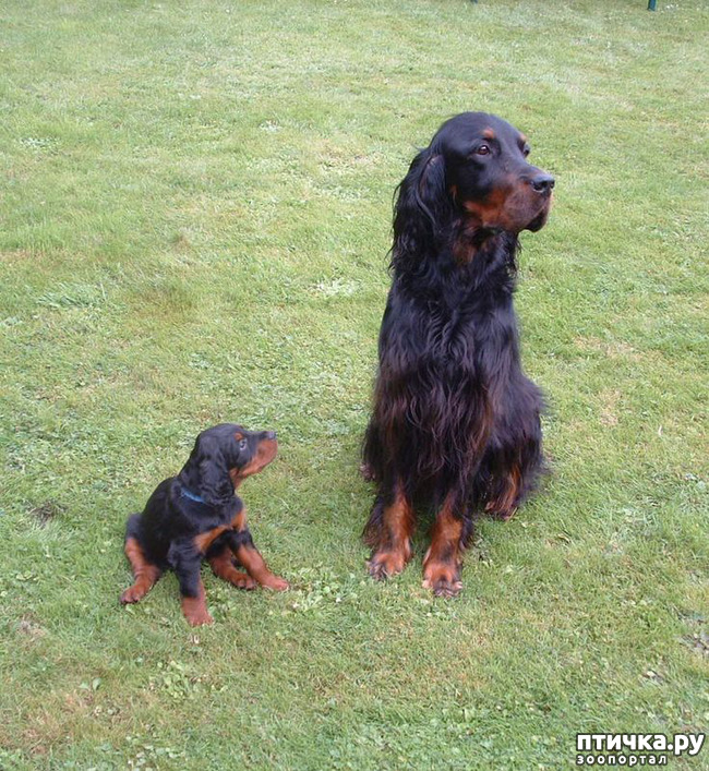 ���� 9: ������-������. ��������� �������