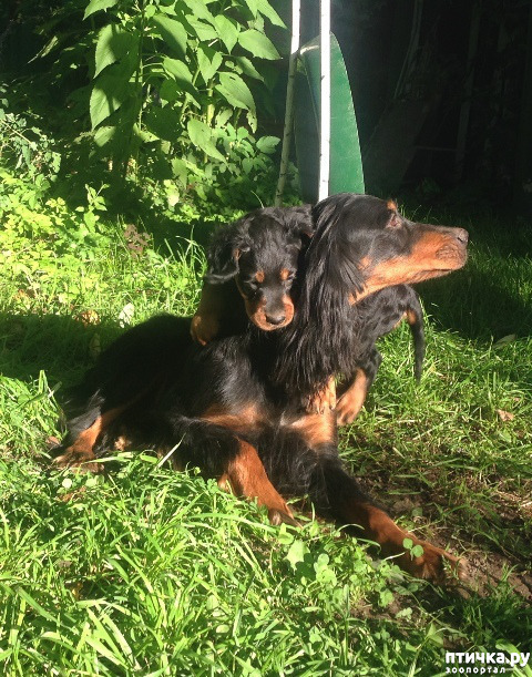 ���� 11: ������-������. ��������� �������