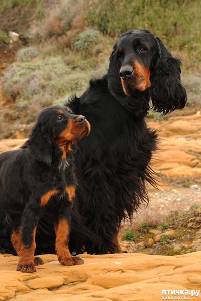 ���� 13: ������-������. ��������� �������