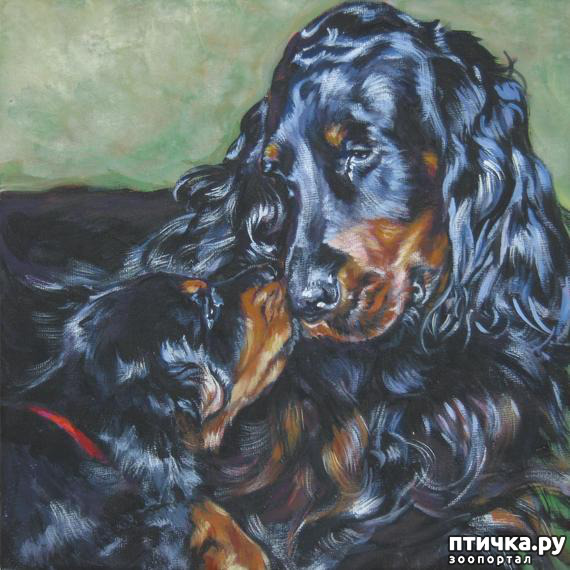 ���� 14: ������-������. ��������� �������