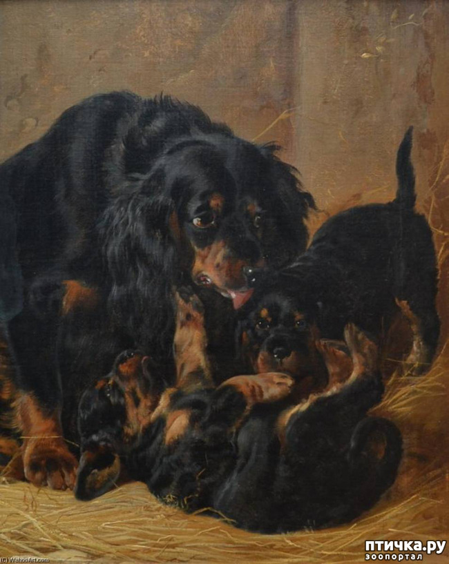 ���� 15: ������-������. ��������� �������