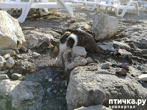 ����: �����