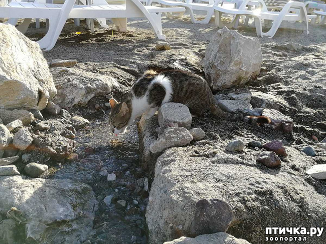 ���� 1: �����