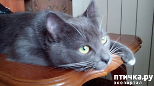 ����: � ������� �����. ��� ������?