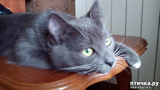 ���� 1: � ������� �����. ��� ������?