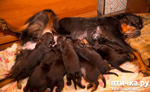 ����: ������-������. ��������� �������