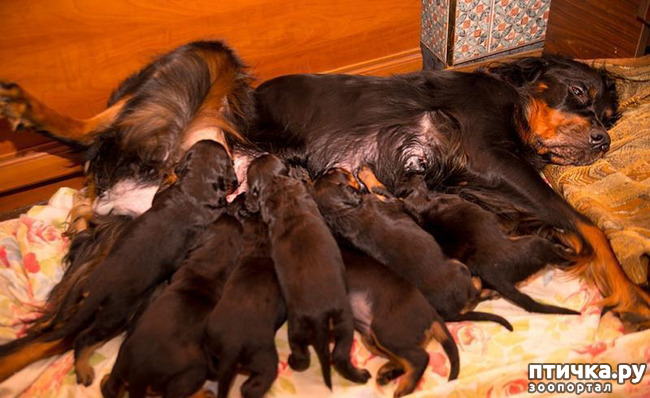 ���� 1: ������-������. ��������� �������