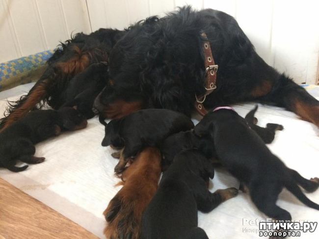 ���� 4: ������-������. ��������� �������