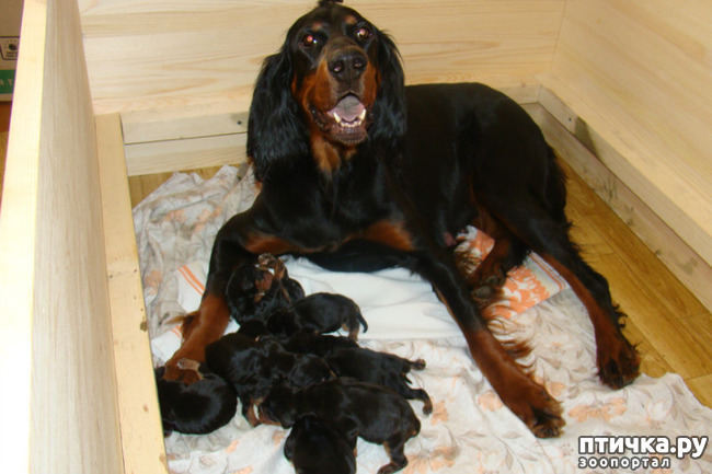 ���� 5: ������-������. ��������� �������