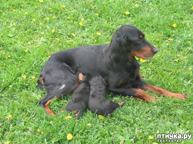 ���� 6: ������-������. ��������� �������